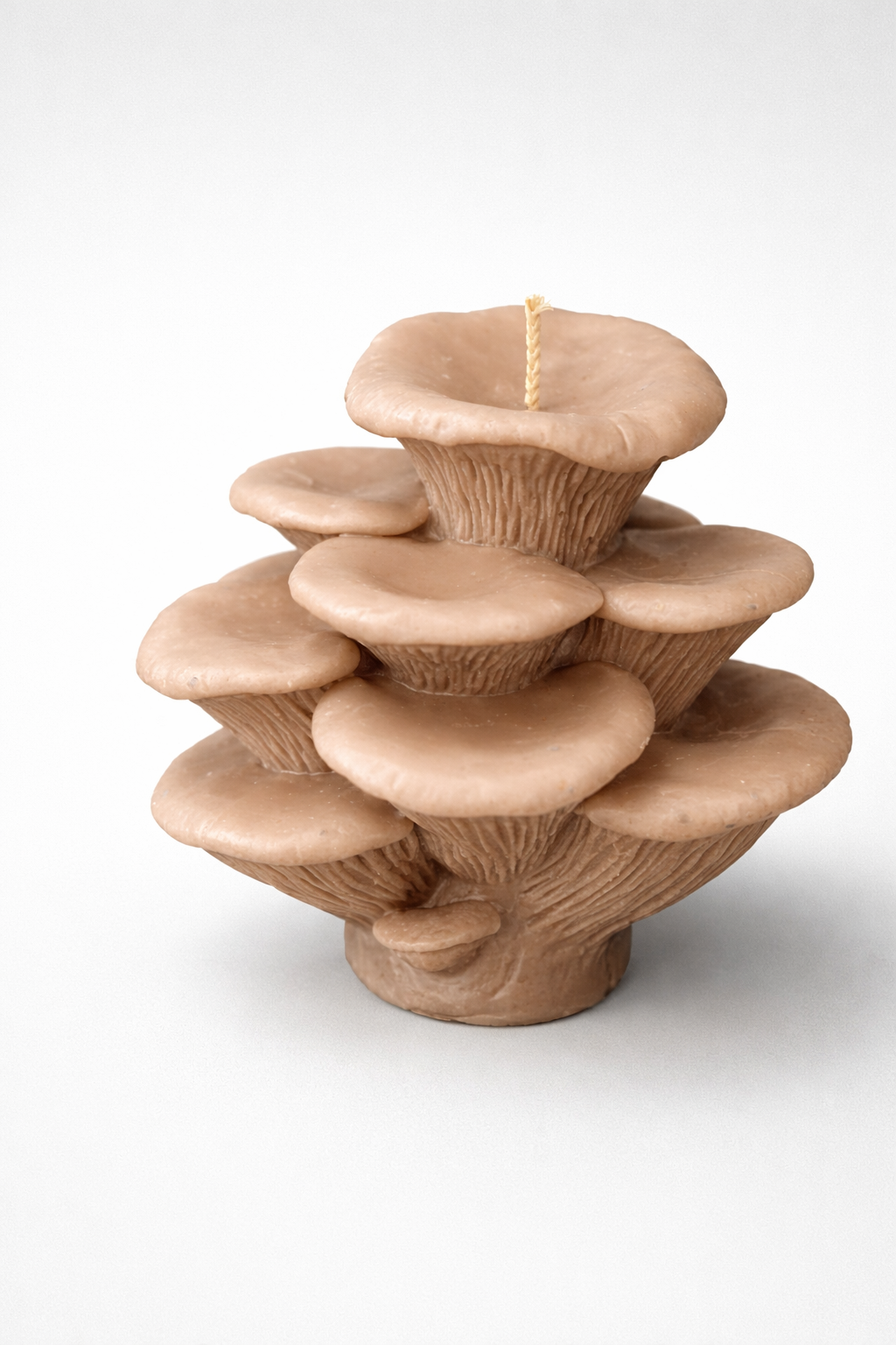Oyster Mushroom Cluster -  Red Amanita Mushroom Candles