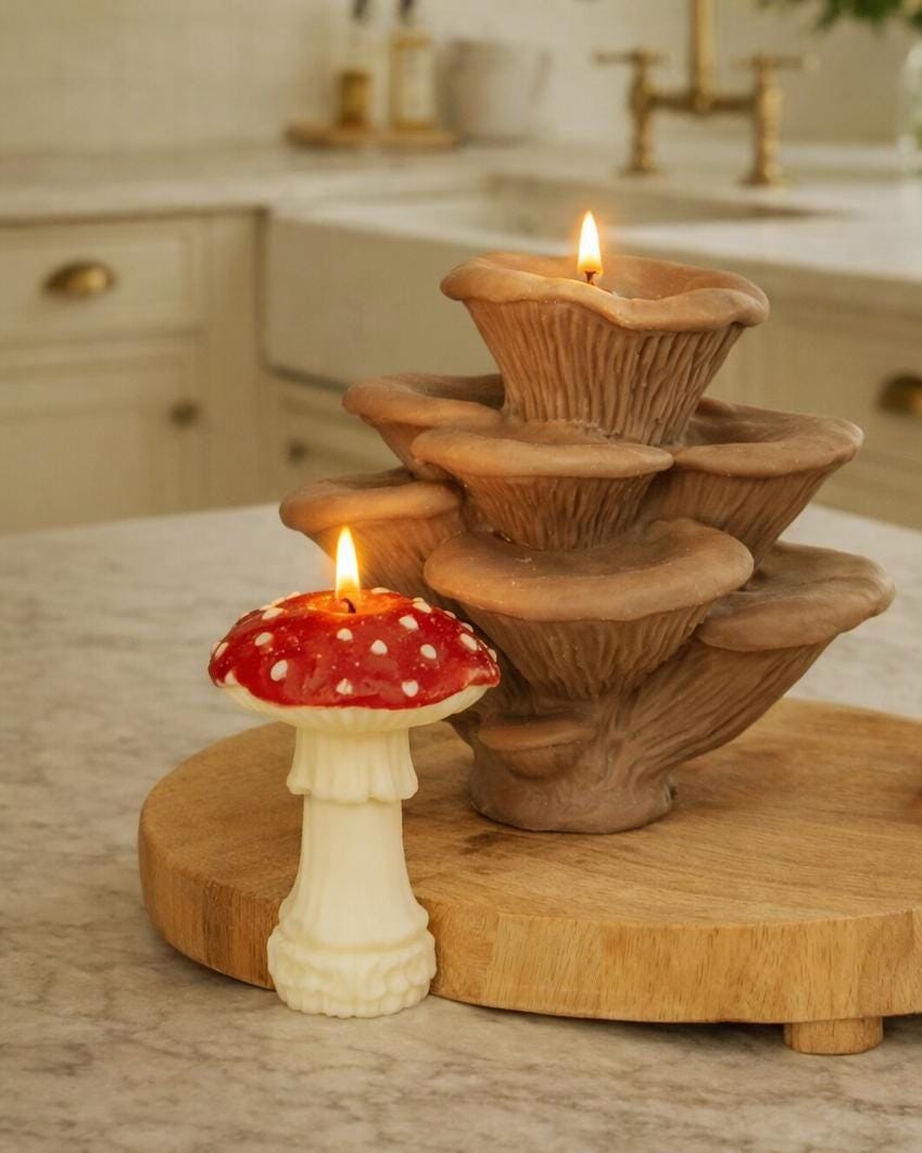 Oyster Mushroom Cluster -  Red Amanita Mushroom Candles